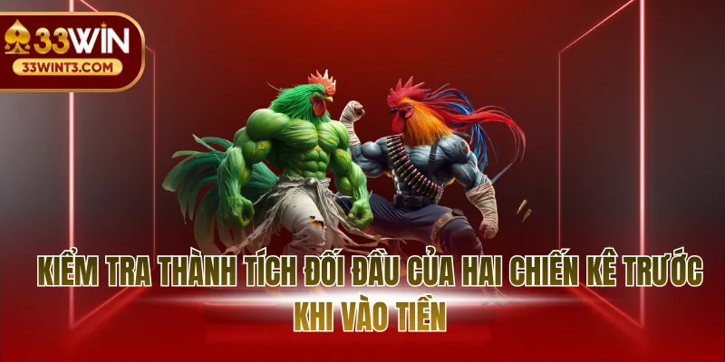 Kiểm tra thành tích đối đầu của hai chiến kê trước khi vào tiền